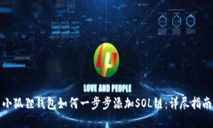 小狐狸钱包如何一步步添加SOL链：详尽