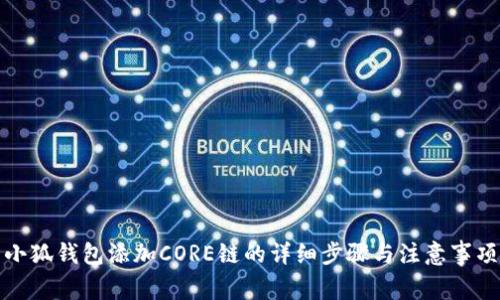 小狐钱包添加CORE链的详细步骤与注意事项