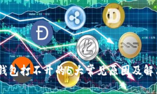 USDT钱包打不开的5大常见原因及解决方法