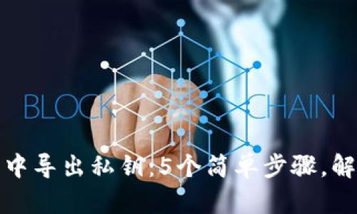 如何在小狐钱包中导出私钥：5个简单步骤，解决地址变更问题