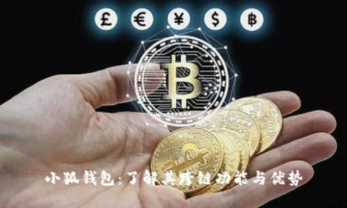 小狐钱包：了解其跨链功能与优势