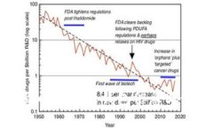 如何找到小狐最新钱包信息与使用指南