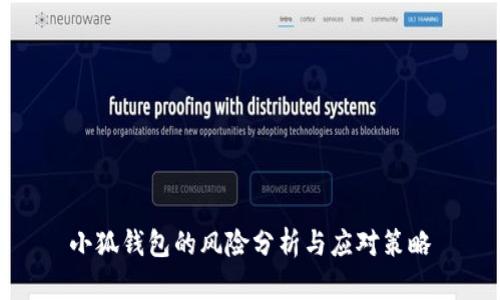 小狐钱包的风险分析与应对策略