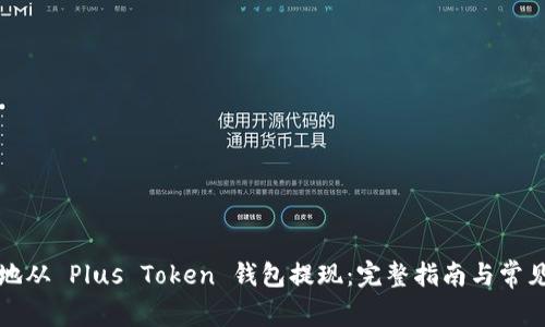 如何安全地从 Plus Token 钱包提现：完整指南与常见问题解析