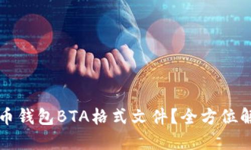 如何打开比特币钱包BTA格式文件？全方位解读与操作指南