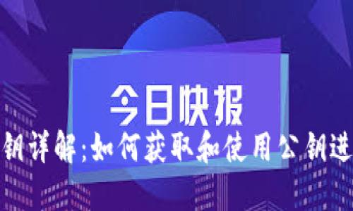 MetaMask公钥详解：如何获取和使用公钥进行区块链交易