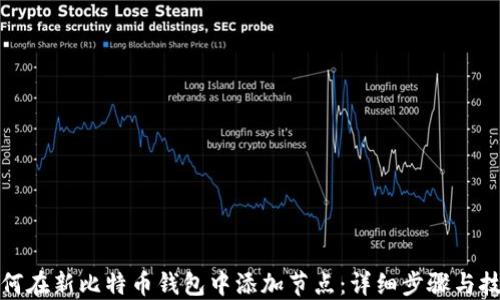 
如何在新比特币钱包中添加节点：详细步骤与技巧