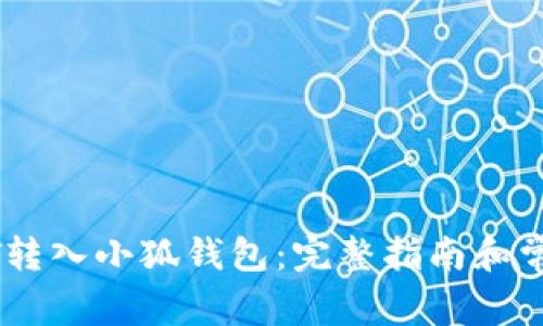 如何将USDT转入小狐钱包：完整指南和常见问题解答