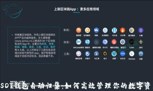 
USDT钱包自动归集：如何高效管理你的数字资产